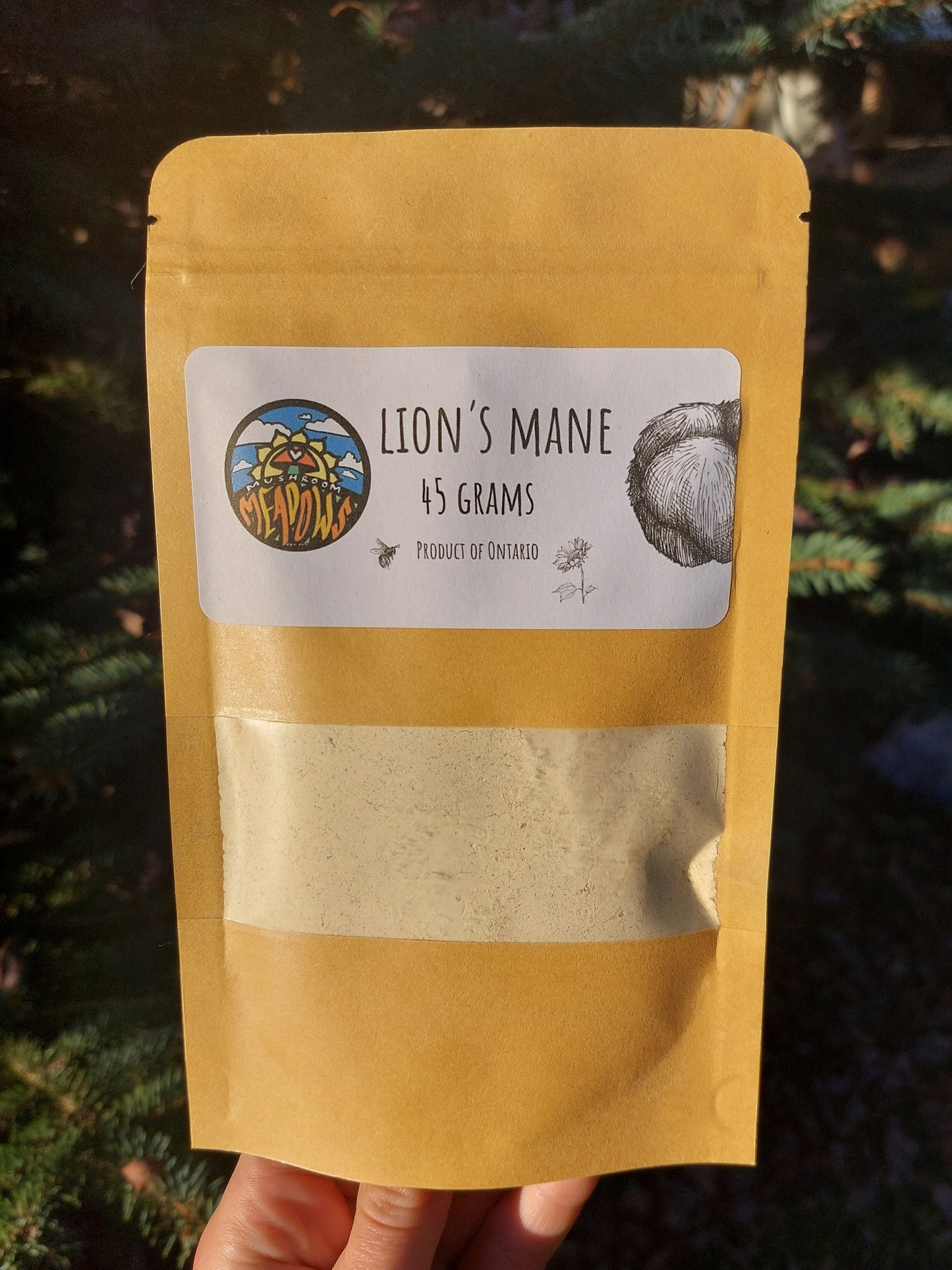 Dried Lion's Mane Powder