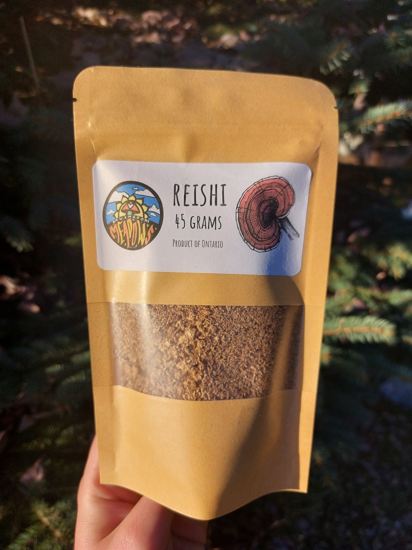 Dried Ontario Reishi Powder