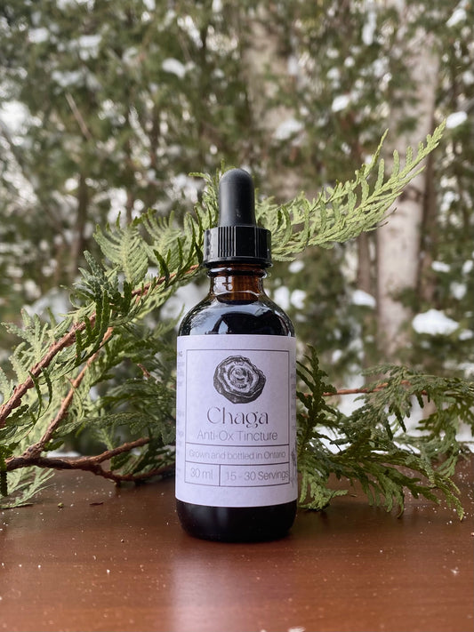 Chaga Tincture