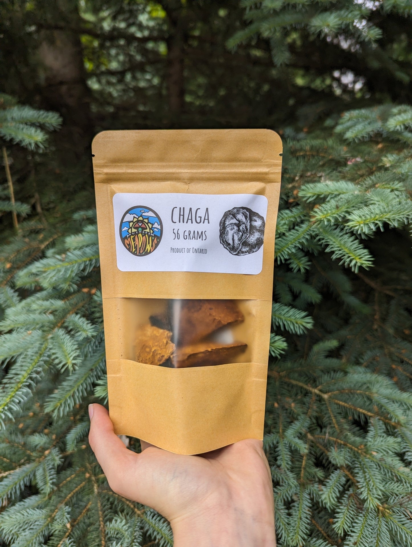 Ontario Wild foraged Chaga Mushroom (Chunks)