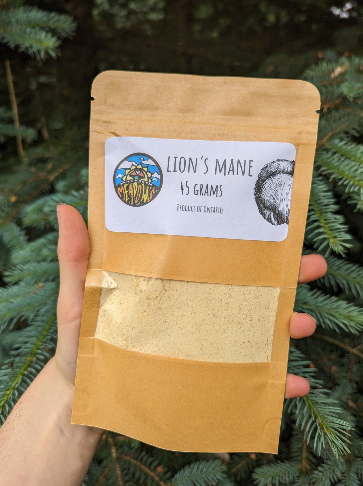 Dried Lion's Mane Powder